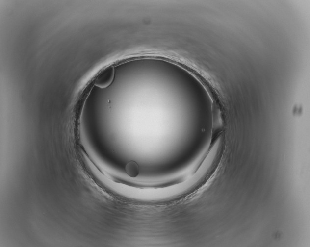 X0000096191502200802011354