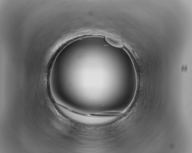 X0000096191503200802011354