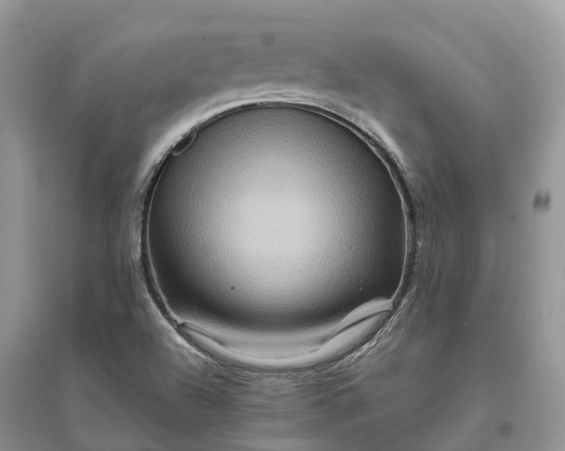 X0000096191504200802011354