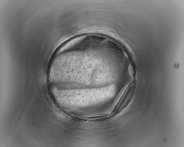 X0000096191505200802011354