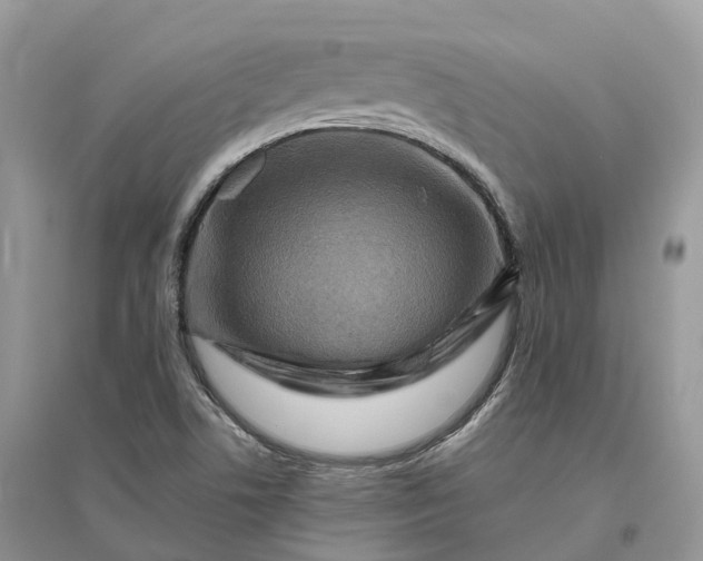 X0000096191506200802011354