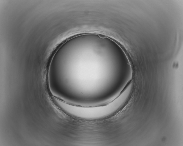 X0000096191507200802011354