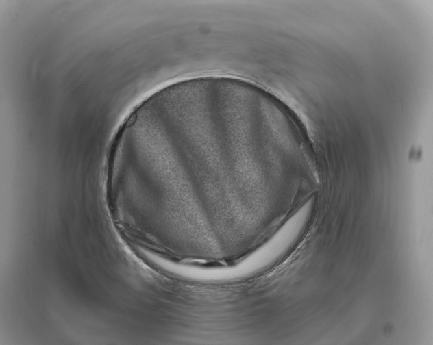 X0000096191508200802011354