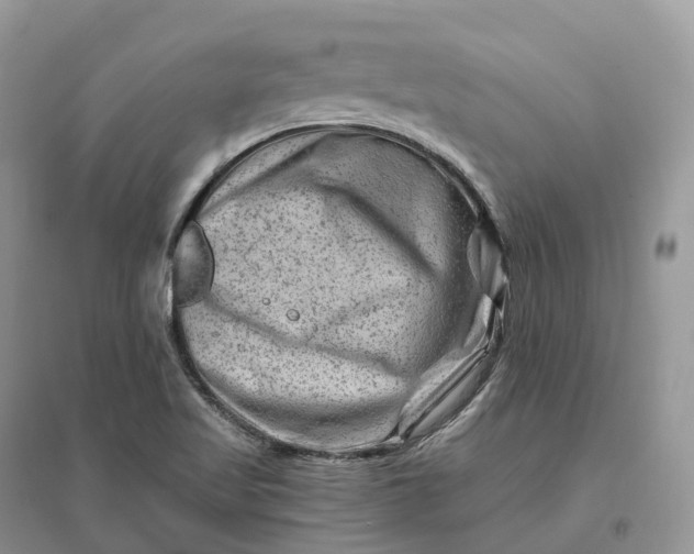 X0000096191509200802011354