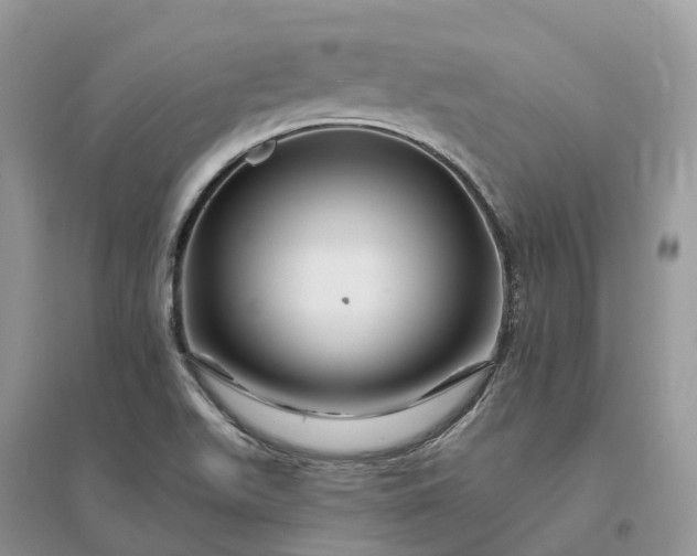 X0000096191511200802011354