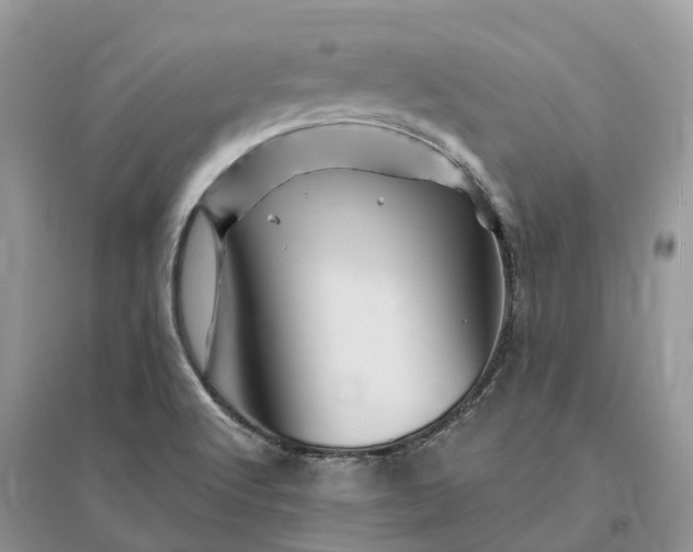 X0000096191512200802011354