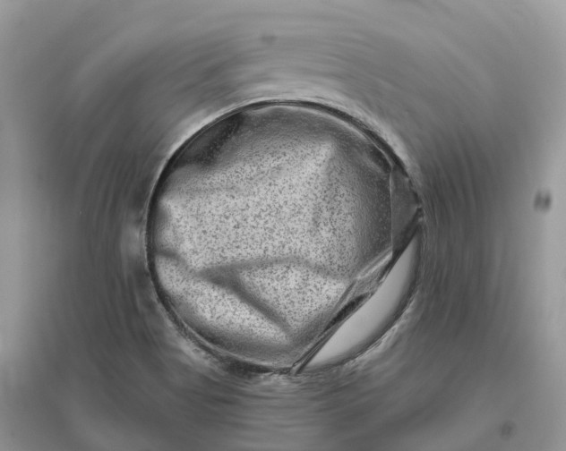 X0000096191513200802011354