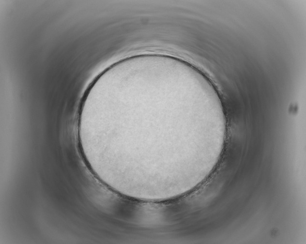 X0000096191514200802011354