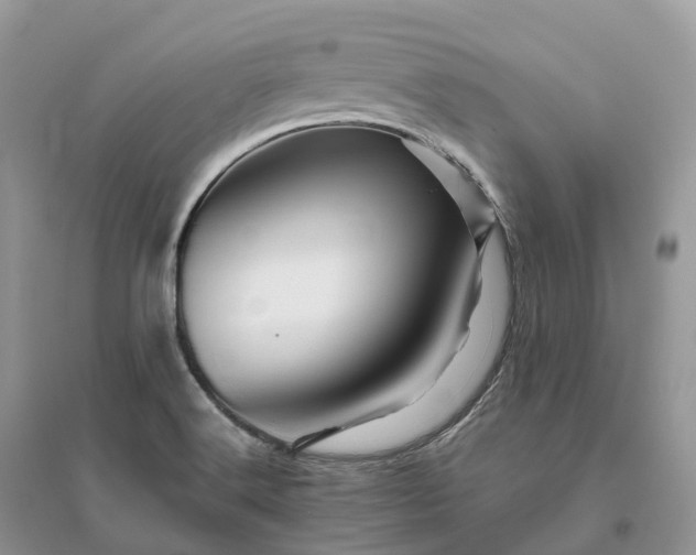X0000096191516200802011354