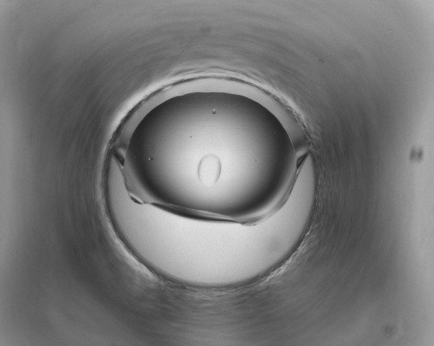 X0000096191518200802011354