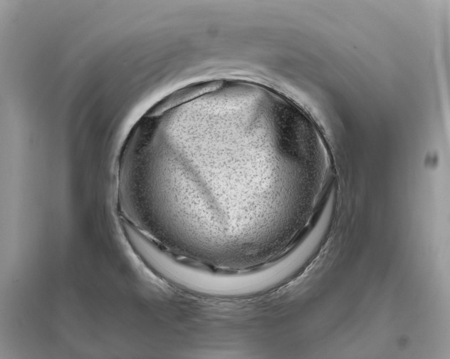 X0000096191520200802011354
