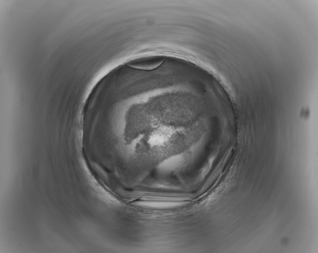 X0000096191522200802011354