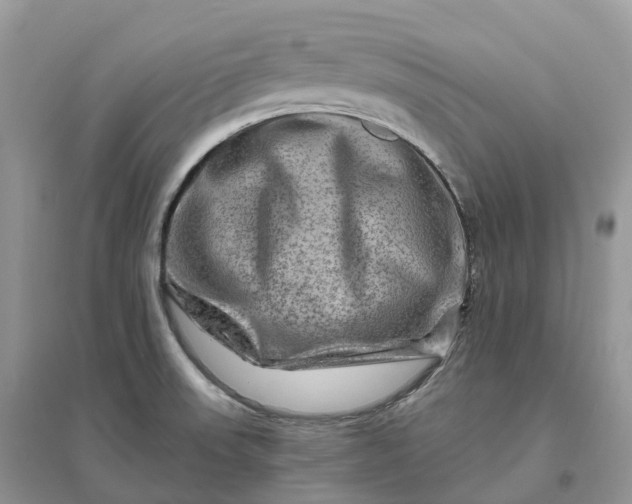 X0000096191523200802011354