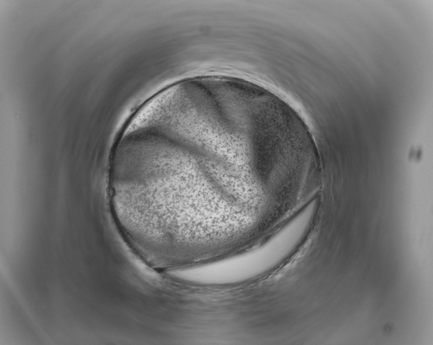 X0000096191525200802011354