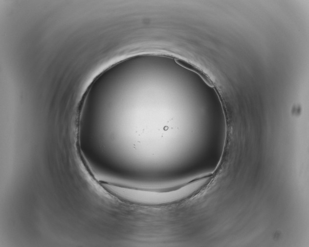 X0000096191526200802011354