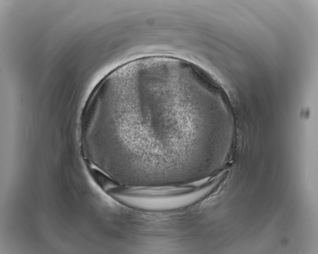 X0000096191527200802011354
