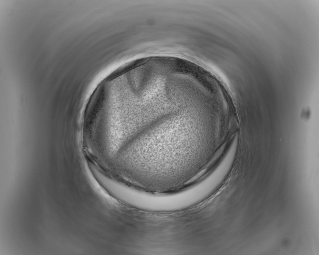 X0000096191528200802011354