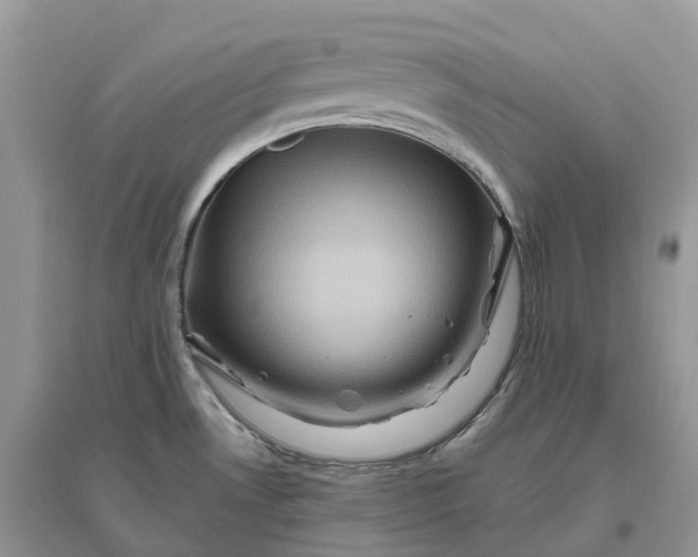 X0000096191530200802011354