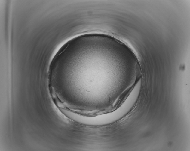 X0000096191532200802011355