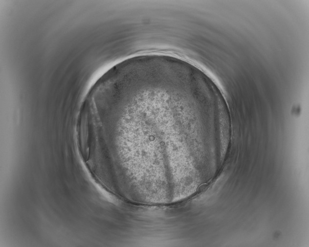 X0000096191533200802011355