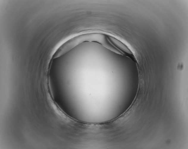 X0000096191534200802011355