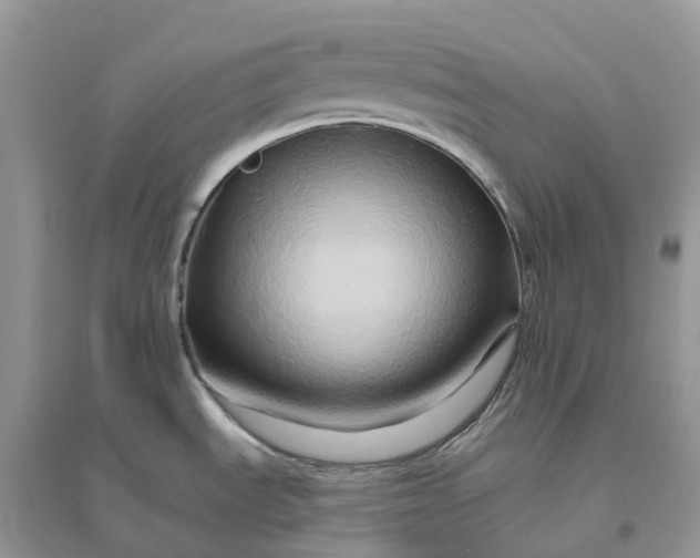X0000096191535200802011355
