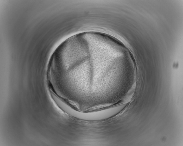 X0000096191536200802011355