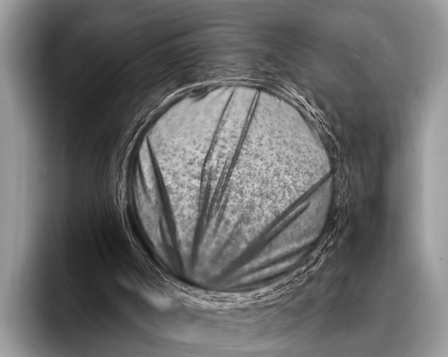 X0000096190002200802081529