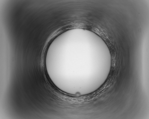 X0000096190004200802081529