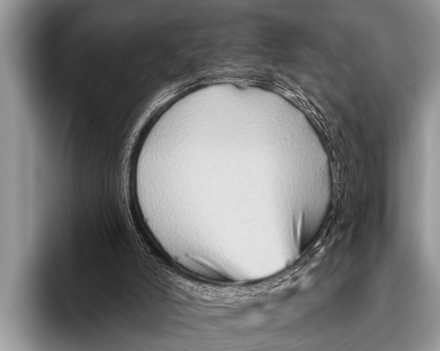 X0000096190006200802081529