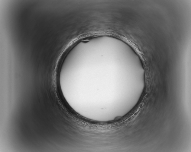 X0000096190008200802081529