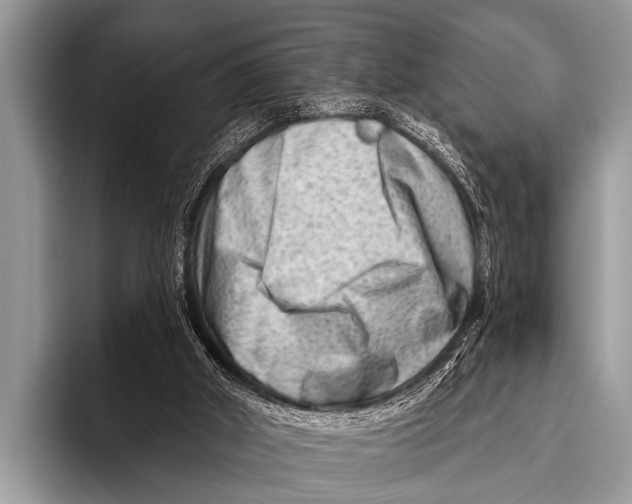 X0000096190010200802081529