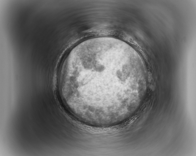 X0000096190012200802081529