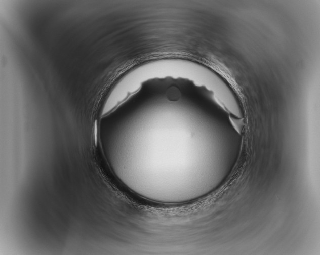 X0000096190013200802081529