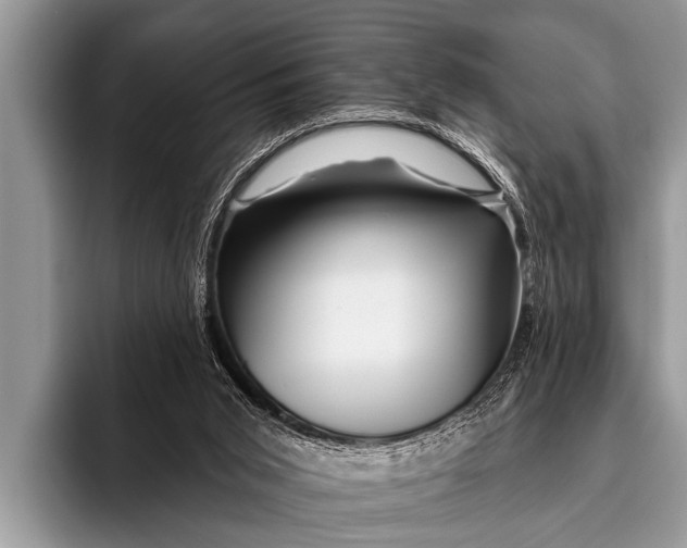 X0000096190015200802081529