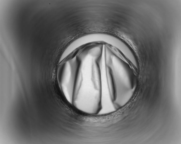 X0000096190017200802081529