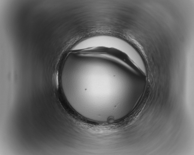 X0000096190020200802081529