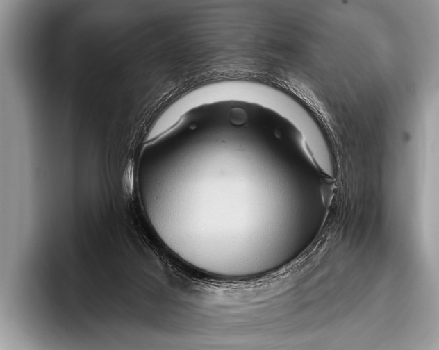 X0000096190021200802081529