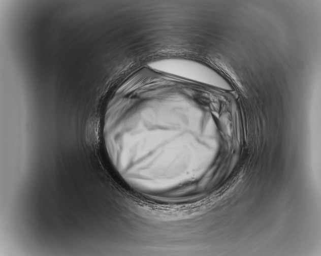 X0000096190023200802081529