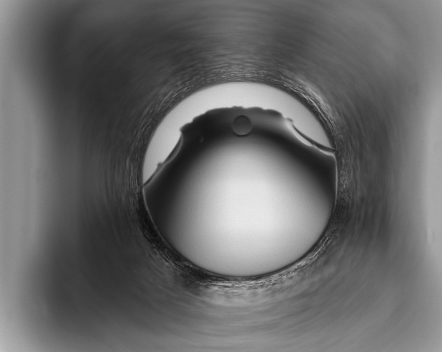 X0000096190025200802081529