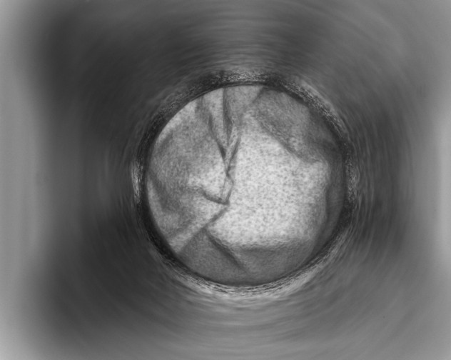 X0000096190026200802081529