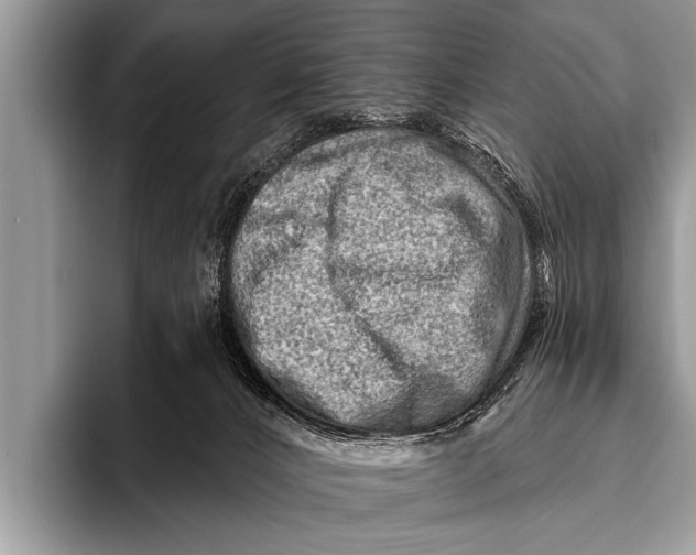 X0000096190032200802081529