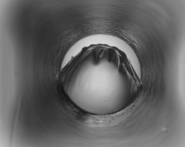 X0000096190033200802081529