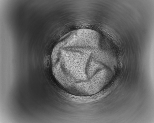 X0000096190034200802081529