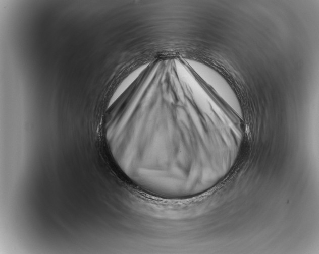 X0000096190035200802081529