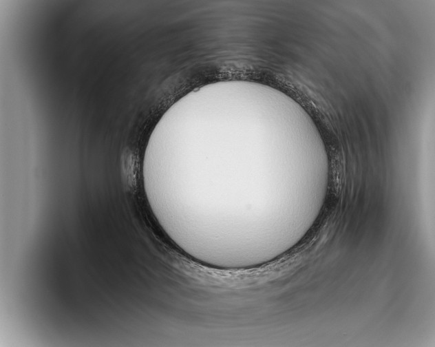 X0000096190038200802081529