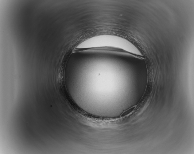 X0000096190040200802081529