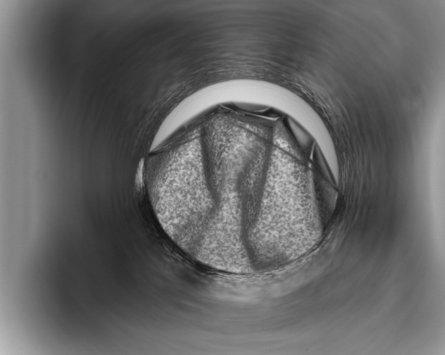 X0000096190041200802081529