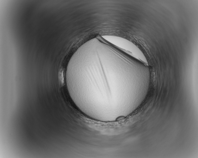 X0000096190042200802081529