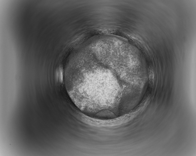 X0000096190046200802081529